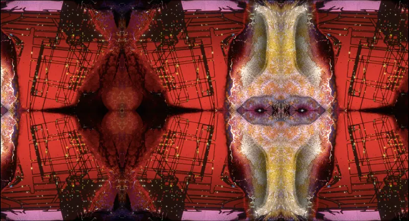 Found Slide Symmetrical Series, artwork 4 by Virginia Zirkle