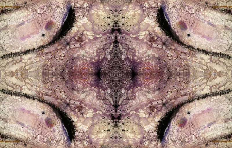 Found Slide Symmetrical Series, artwork 6 by Virginia Zirkle