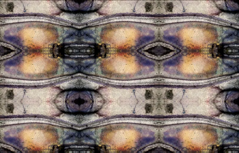 Found Slide Symmetrical Series, artwork 7 by Virginia Zirkle