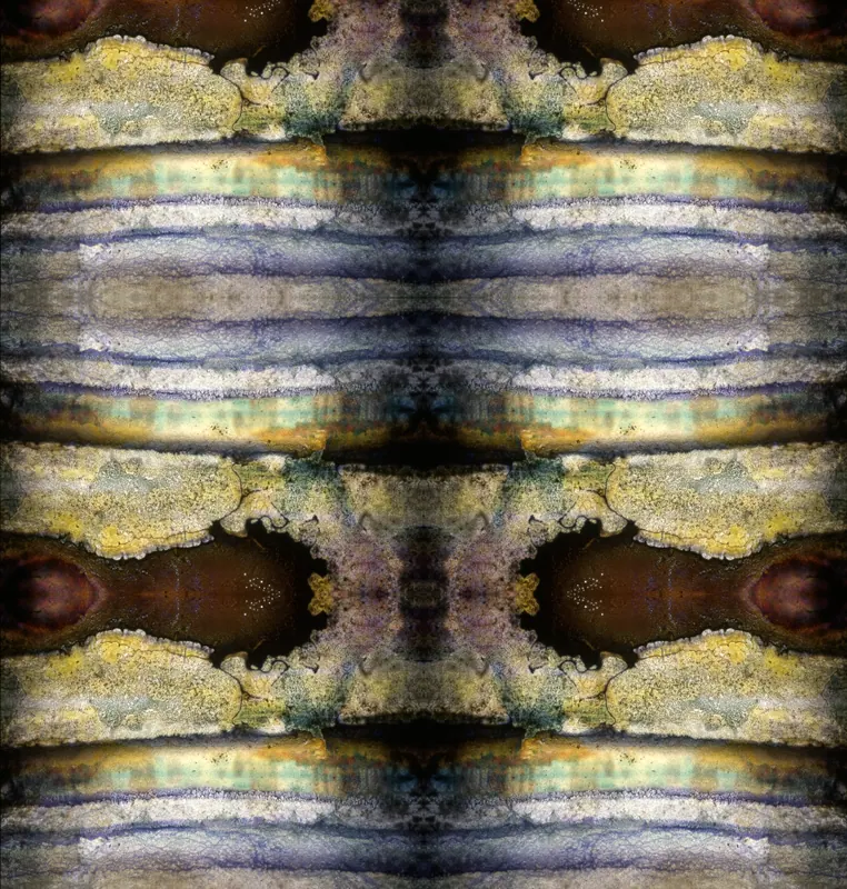 Found Slide Symmetrical Series, artwork 9 by Virginia Zirkle