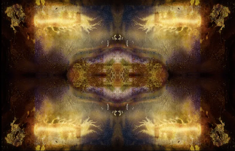 Found Slide Symmetrical Series, artwork 10 by Virginia Zirkle