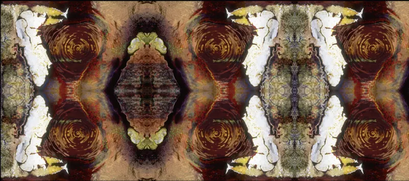 Found Slide Symmetrical Series, artwork 11 by Virginia Zirkle