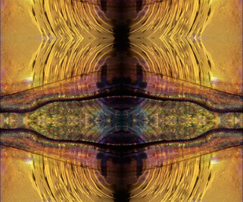 Found Slide Symmetrical Series, artwork 13 by Virginia Zirkle