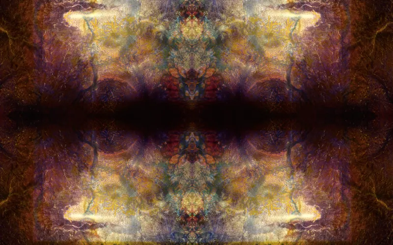 Found Slide Symmetrical Series, artwork 14 by Virginia Zirkle