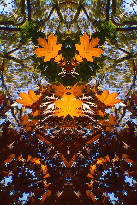 Patterns Within the Glitch, artwork 11 by Virginia Zirkle