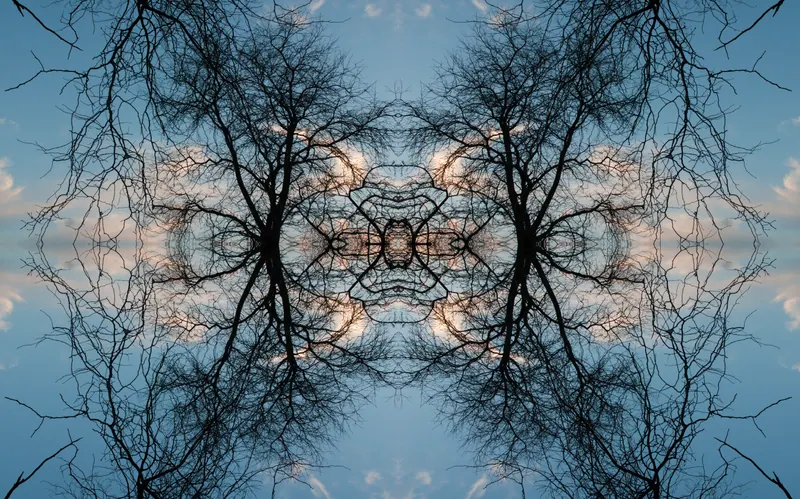 Sacred Trees, artwork 2 by Virginia Zirkle