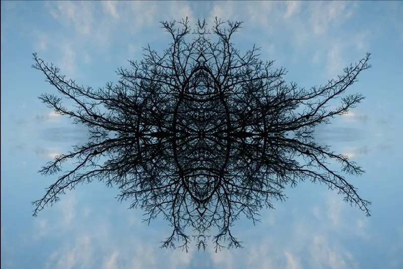 Sacred Trees, artwork 3 by Virginia Zirkle