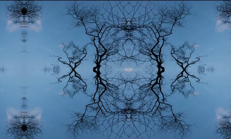 Sacred Trees, artwork 4 by Virginia Zirkle