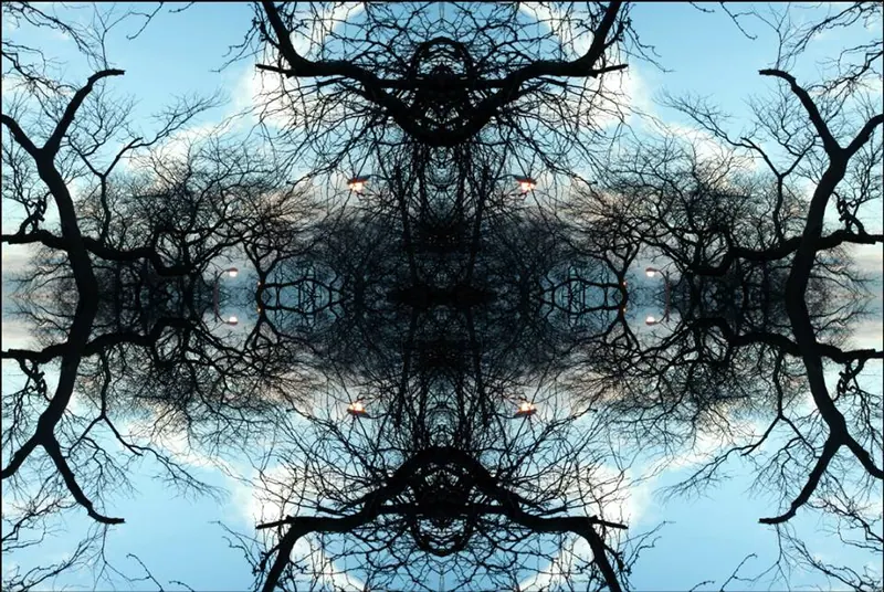 Sacred Trees, artwork 5 by Virginia Zirkle