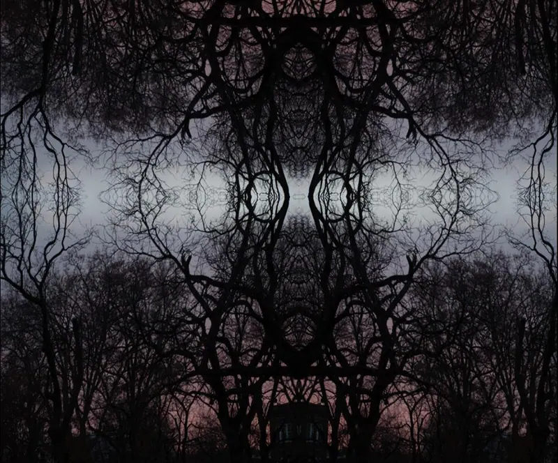 Sacred Trees, artwork 6 by Virginia Zirkle