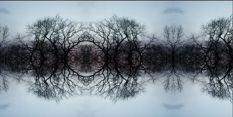 Sacred Trees, artwork 7 by Virginia Zirkle