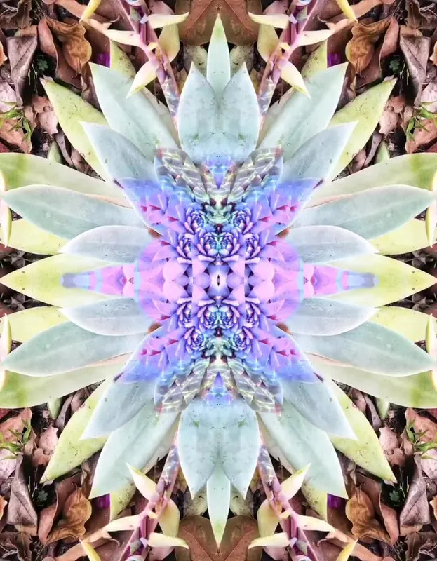 Video piece 10 by Virginia Zirkle