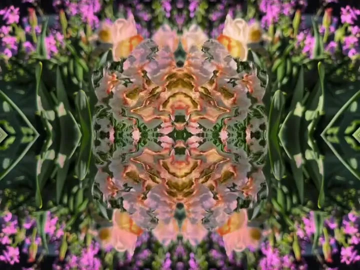 Video piece 12 by Virginia Zirkle
