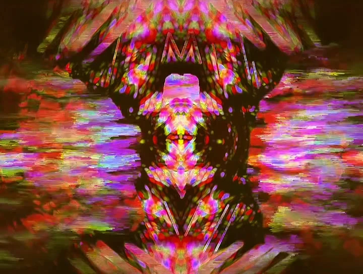 Video piece 14 by Virginia Zirkle